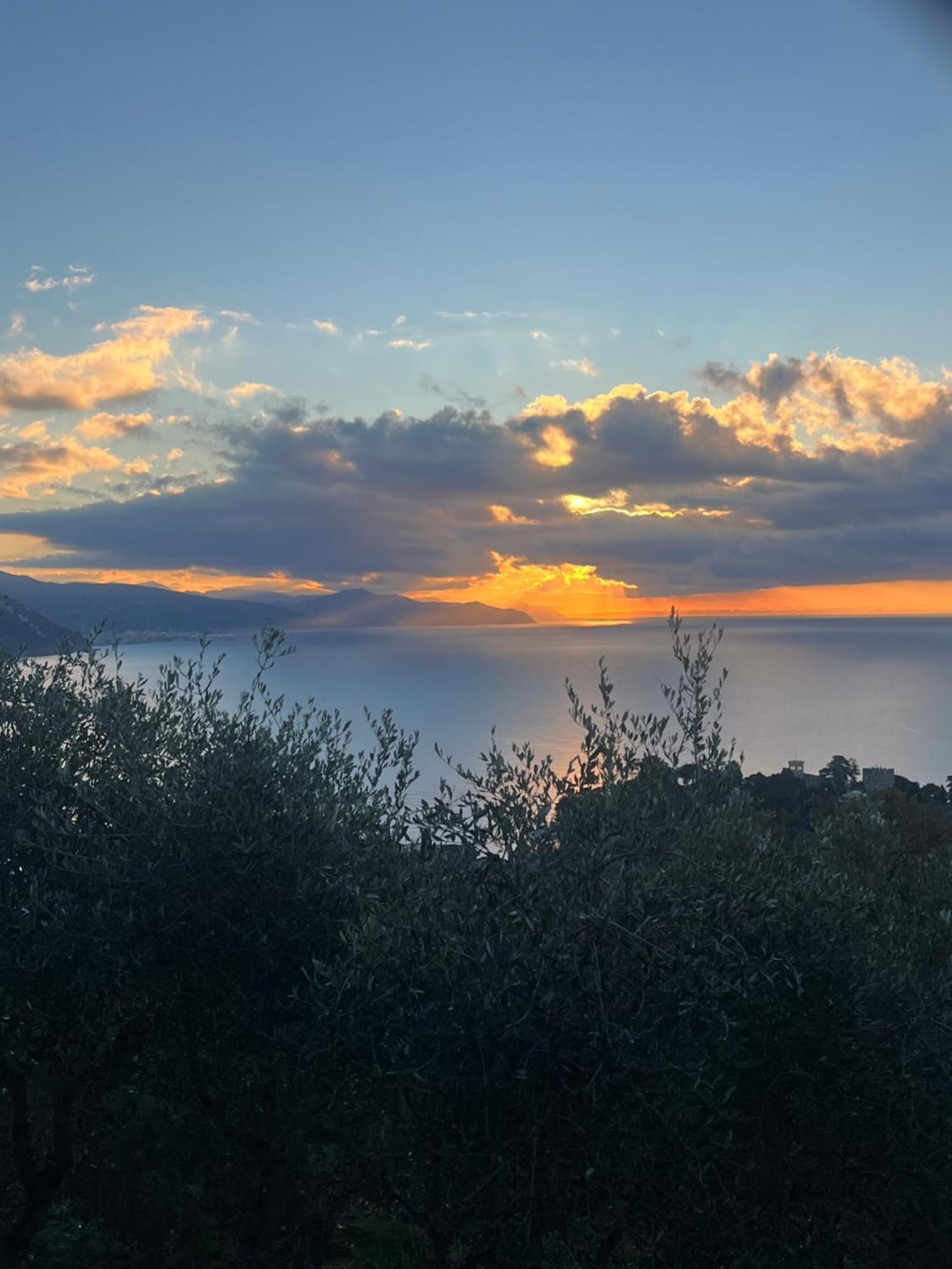 La Conchiglia Bed & Breakfast Camogli Buitenkant foto