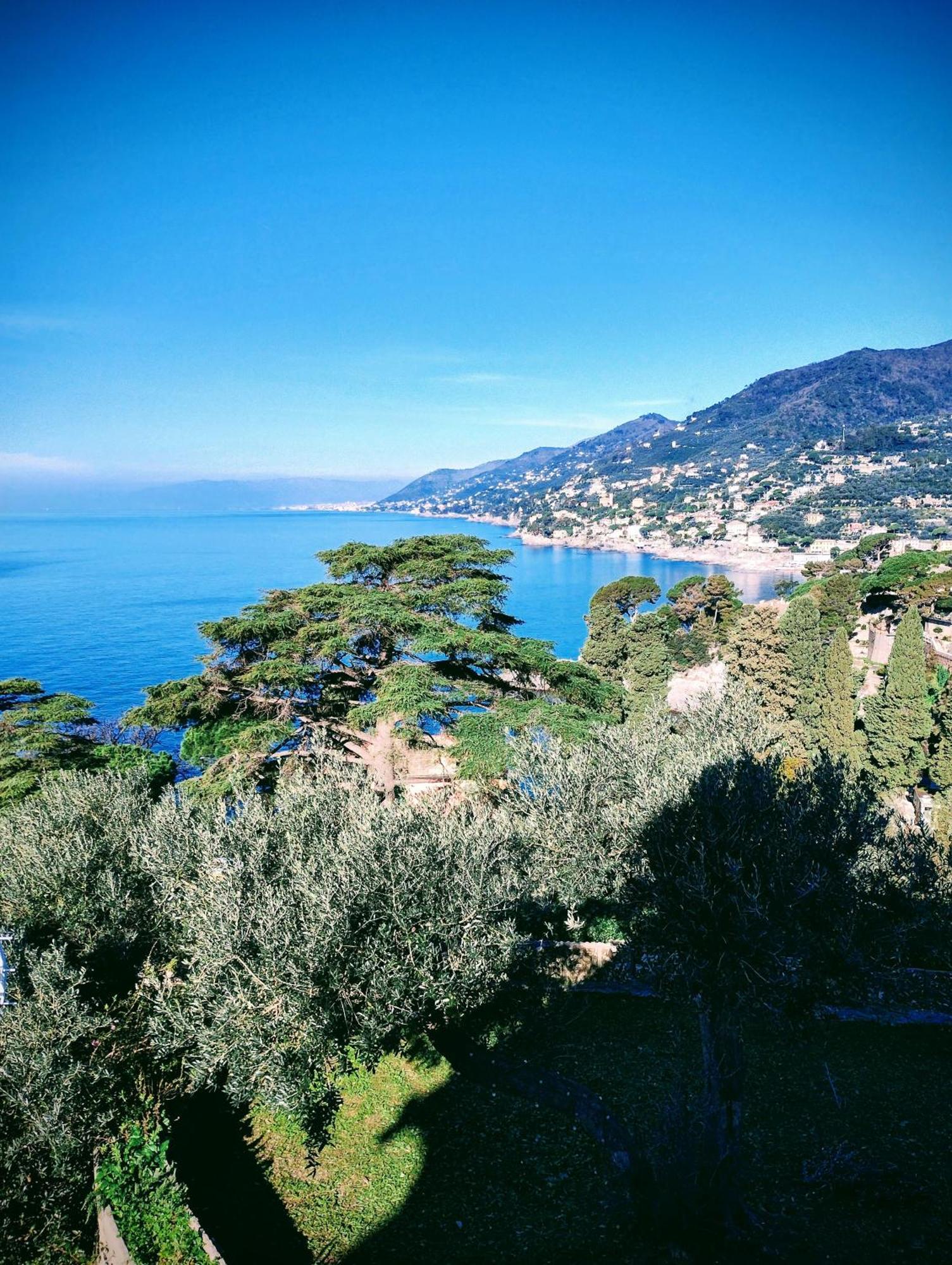 La Conchiglia Bed & Breakfast Camogli Buitenkant foto
