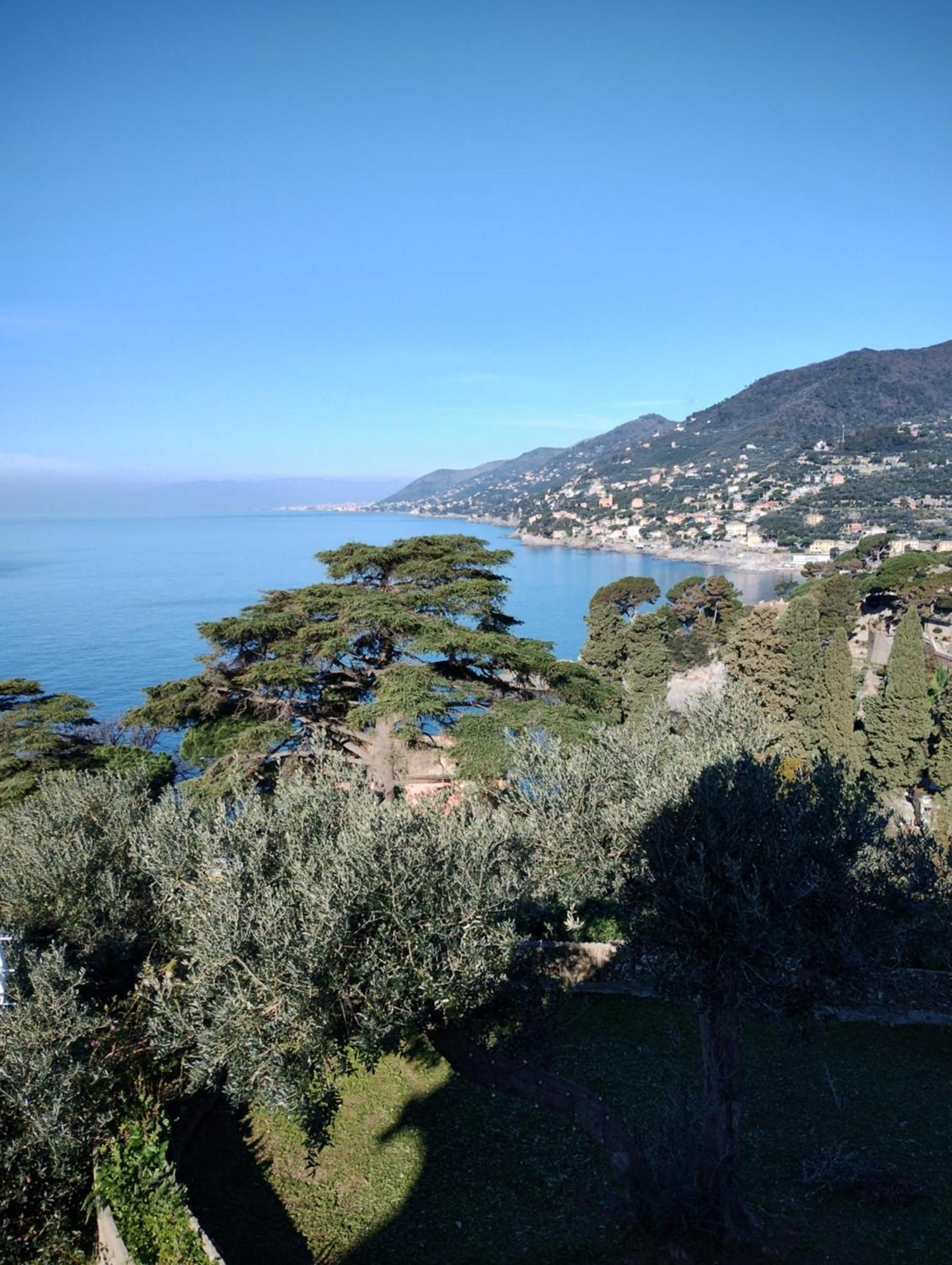 La Conchiglia Bed & Breakfast Camogli Buitenkant foto